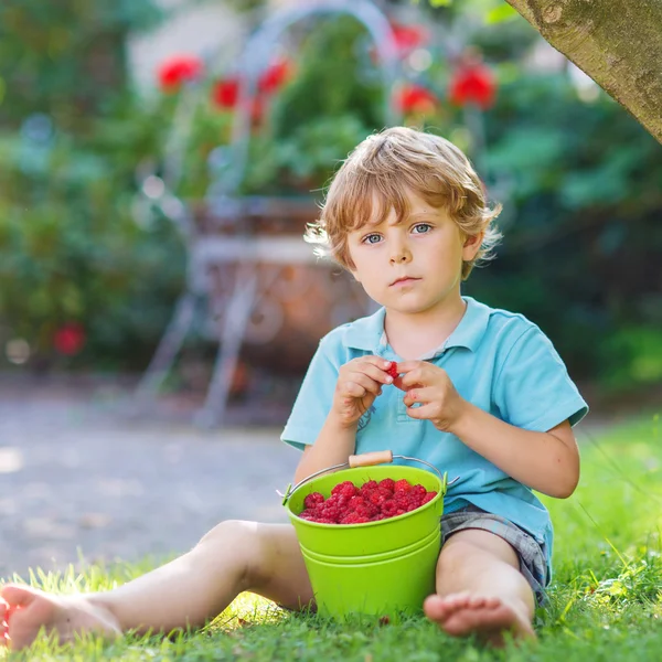 Adorable little preschool child eating raspberries in home's gar — Stock Photo, Image