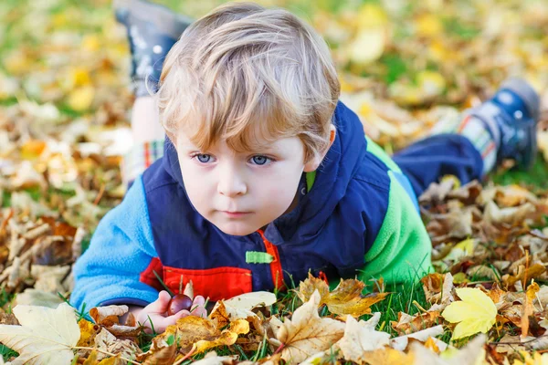 Söta unge pojken roar sig i höst park — Stockfoto