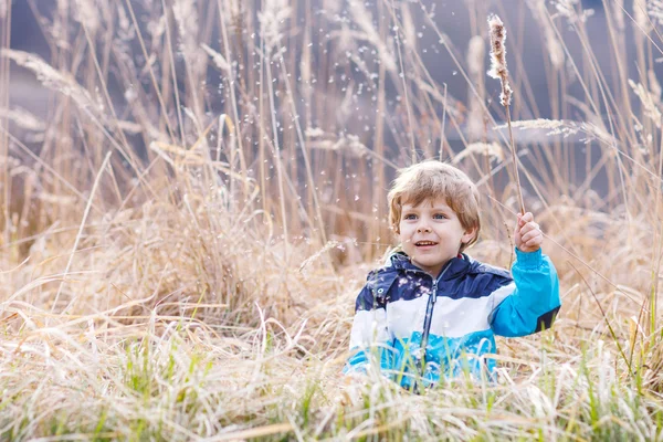 Little boy having fun with bulrush near forest lake — Stock Photo, Image