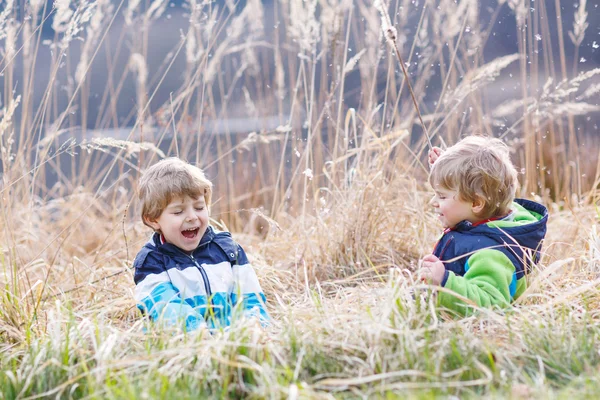 Zwei kleine Geschwisterkinder kämpfen und haben Spaß — Stockfoto