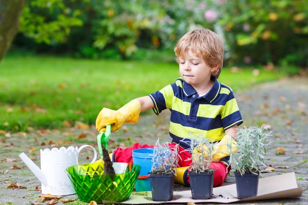 Cute kid boy learning to plant flowers in home's garden — Stock Photo, Image
