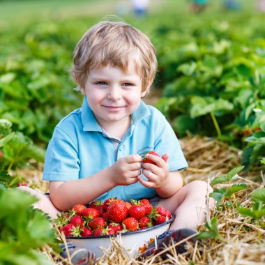 mutlu küçük yürümeye başlayan çocuk üzerinde almak strawberri toplama berry farm