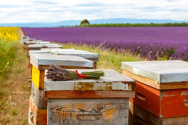 Bienenstöcke auf Lavendelfeldern, in der Nähe von Valensole, Provence. — Stockfoto