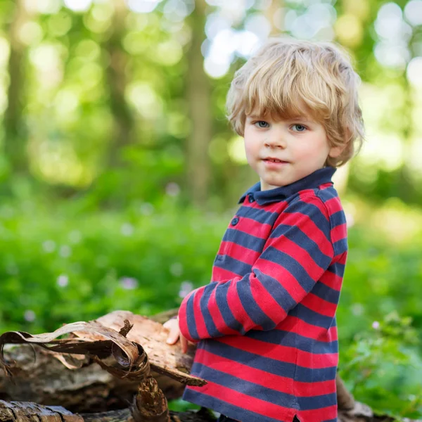 Lilla söta blonda unge pojken ha kul i sommar skog. — Stockfoto