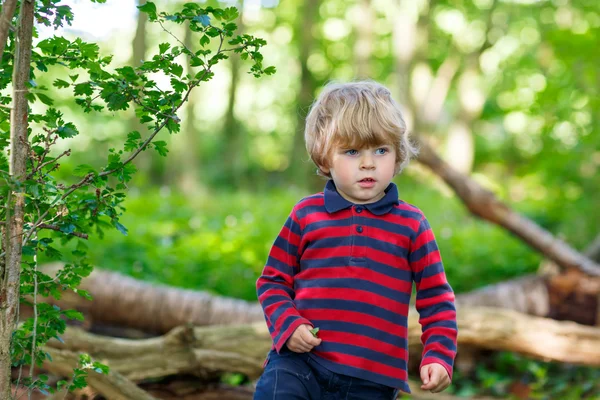 Lilla söta blonda unge pojken ha kul i sommar skog. — Stockfoto