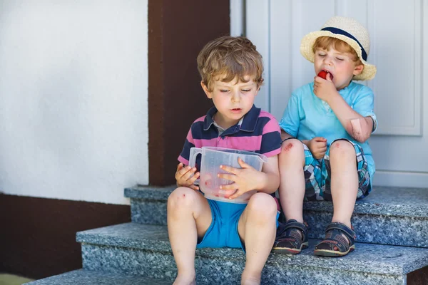 Två små syskon pojkar äta färska jordgubbar — Stockfoto