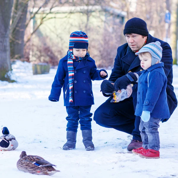 Vater und zwei kleine Geschwister füttern im Winter Enten. — Stockfoto