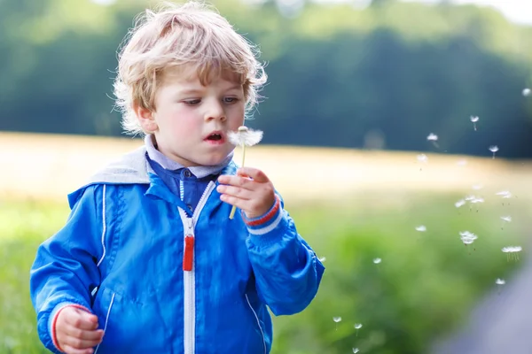 Divertido lindo niño divirtiéndose con flor de diente de león —  Fotos de Stock