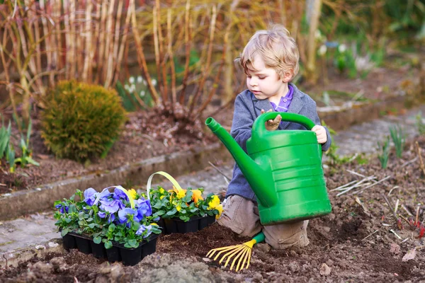 Liten pojke trädgårdsskötsel och plantera blommor i trädgården — Stockfoto