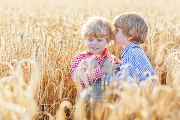 Two little sibling boys having fun and speaking on yellow wheat — Stock Photo, Image