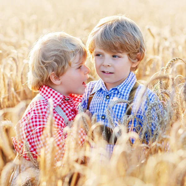 Two little sibling boys having fun and speaking on yellow wheat — Stock Photo, Image