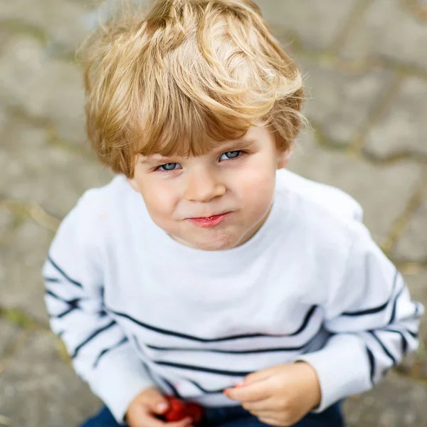 Забавный маленький мальчик ест свежую органическую клубнику — стоковое фото