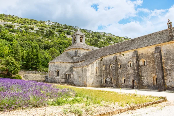 Abbazia di Senanque e fiori di lavanda in fiore — Foto Stock