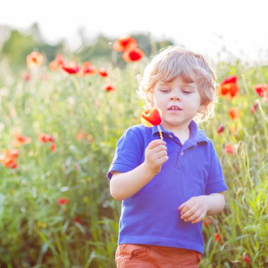 Sıcak yaz gününde haşhaş sahada haşhaş çiçek çocukla şirin çocuk