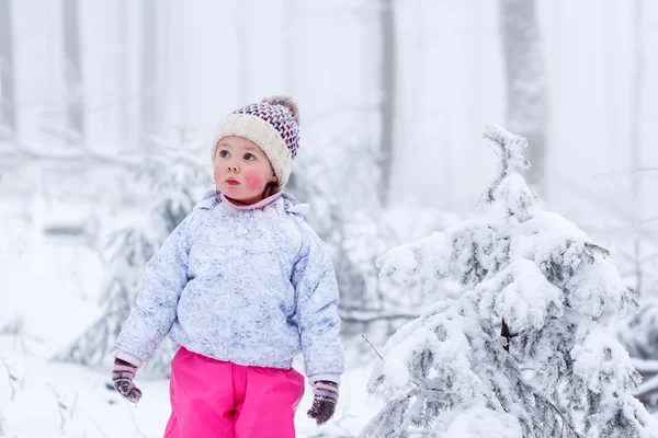 Porträtt av en liten flicka i vinter mössa i snö skog på snöflingor bakgrund — Stockfoto