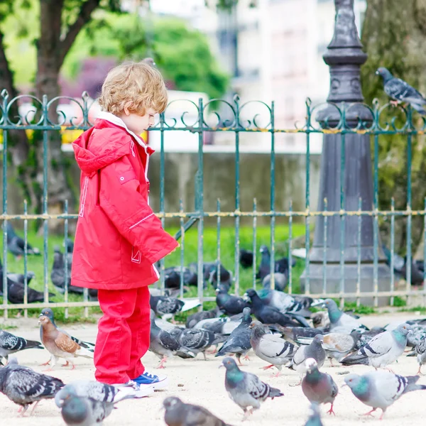 Bonito menino pegando e brincando com pombos na cidade — Fotografia de Stock