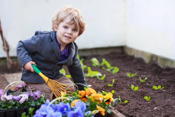 Little boy gardening and planting flowers in garden — Stock Photo, Image