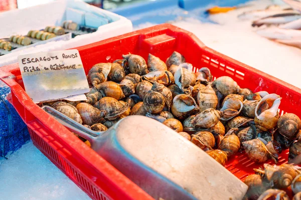 Escargots et escargots en babylone frais tachetés sur le marché fermier — Photo