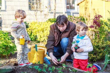 iki küçük çocuklar ve babası sebze garde fidan dikimi