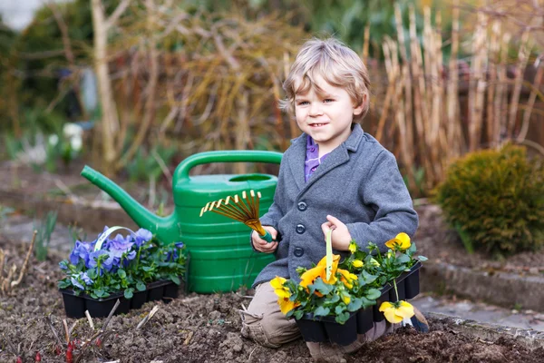 Liten pojke trädgårdsskötsel och plantera blommor i trädgården — Stockfoto