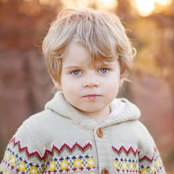 Porträtt av vacker liten pojke på 2, utomhus — Stockfoto