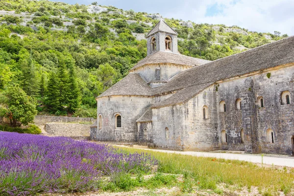 Klosteret i Senanque og blomstrende rader med lavendelblomster – stockfoto