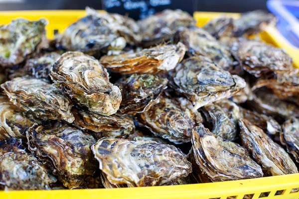 Ostras frescas en el mercado callejero mediterráneo . — Foto de Stock