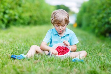 küçük sarışın çocuk mutlu onun hasat ahududu çiftlik hakkında