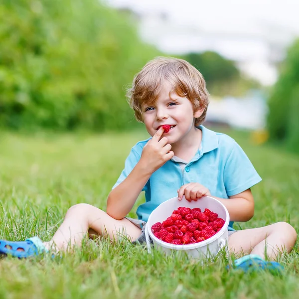 Little blond boy happy about his harvest on raspberry farm — Stock Photo, Image