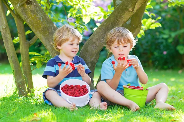 Dwóch chłopców rodzeństwo jeść malin w domu w ogrodzie. — Zdjęcie stockowe