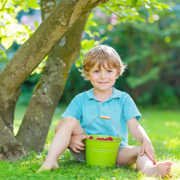 Glad rolig unge pojken äta hallon i hem s trädgård — Stockfoto