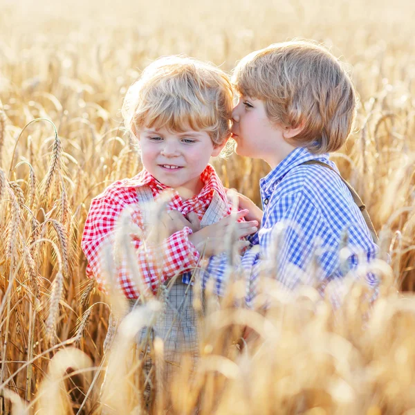 Два маленьких мальчика-брата веселятся и говорят о желтой пшенице — стоковое фото