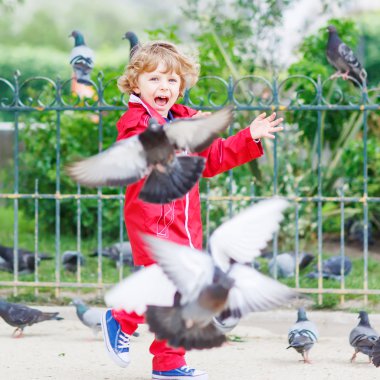 Sevimli küçük çocuk yakalamak ve güvercinler City ile oynuyor