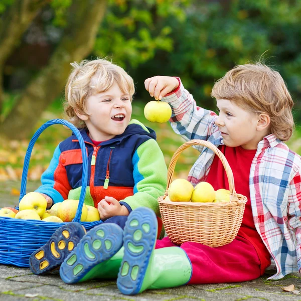 Two adorable little boy friends eating apples in home's garden, — Stock Photo, Image