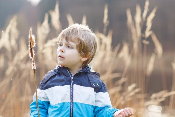 Little boy having fun with bulrush near forest lake — Stock Photo, Image