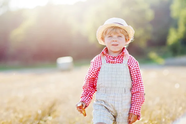 Menino pequeno andando feliz através do campo de trigo — Fotografia de Stock