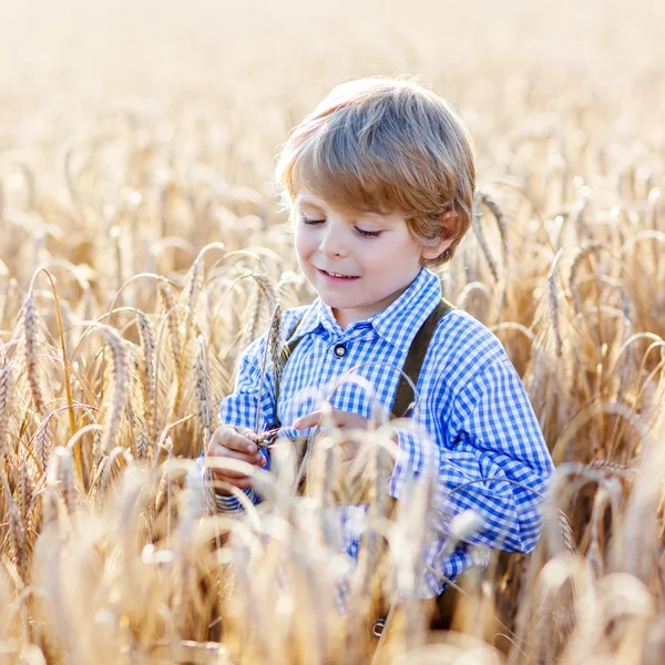 Funny little kid boy in leather shors, walking  through wheat fi — Stock Photo, Image