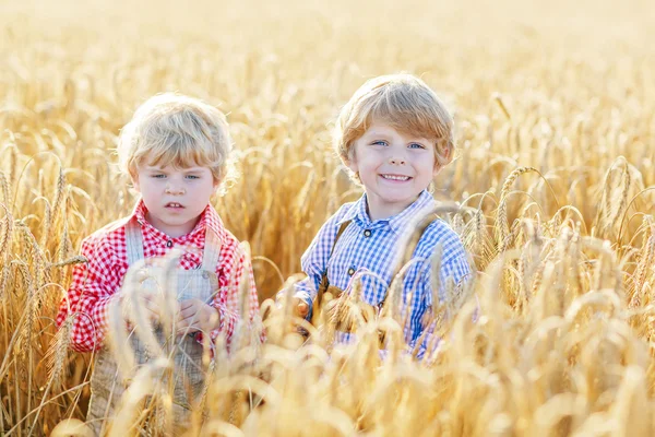 Two little sibling boys having fun and speaking on yellow wheat — Stock Photo, Image