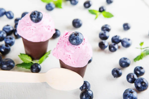 Blueberry ijs of bevroren yoghurt en takje munt, met fre — Stockfoto