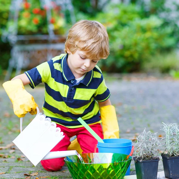 Rolig liten pojke plantera blommor i hem s trädgård — Stockfoto