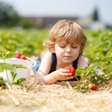Malzeme çekme ve berry çiftliğinde topladıklarıçilekleri komik çocuk
