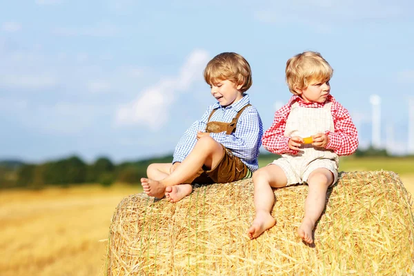 Два маленьких друга и друзья сидят на стоге сена — стоковое фото