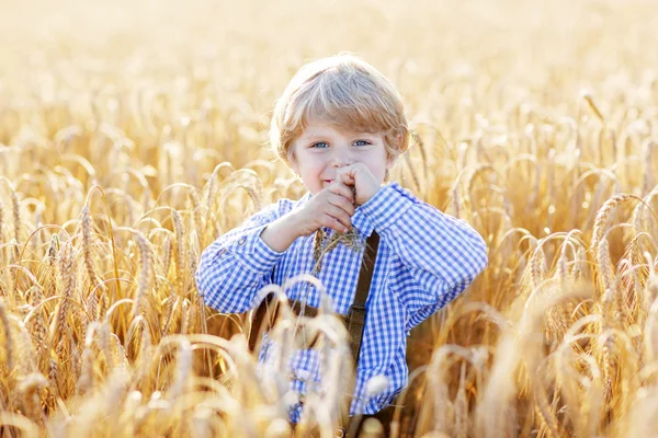 Funny little kid boy in leather shors, walking  through wheat fi — Stock Photo, Image