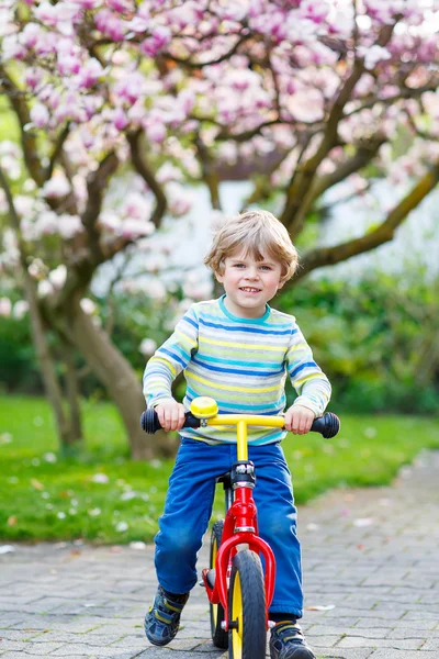 Мальчик-малыш едет на своем первом велосипеде — стоковое фото