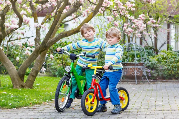 Two little kid boys biking with bicycles in park — ストック写真