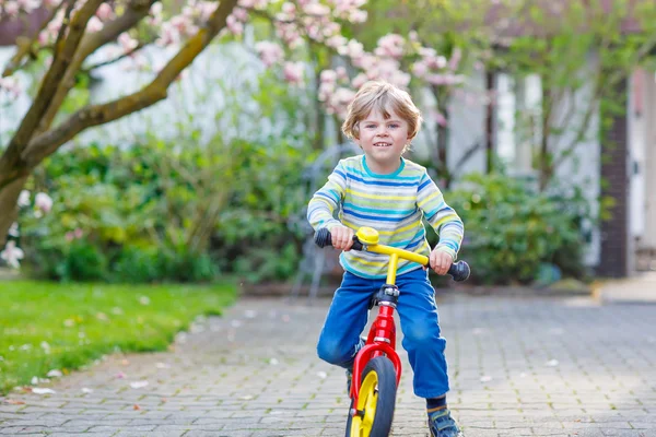 愛らしい小さな子供男の子彼の最初の自転車や laufrad の運転 — ストック写真