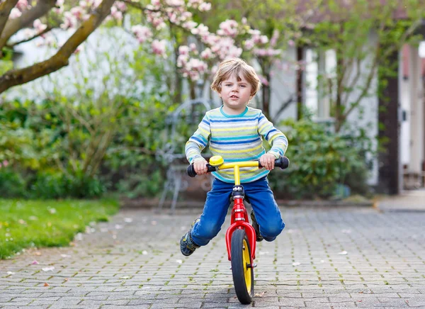 Beautiful toddler child driving his first bike or laufrad — Stock Photo, Image