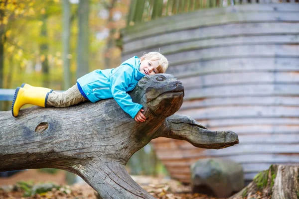 Liten unge pojke att ha kul på hösten lekplats — Stockfoto