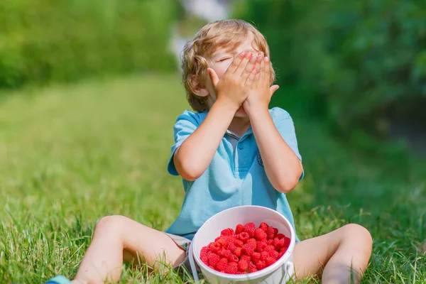 Little blond boy happy about his harvest on raspberry farm — Stock Photo, Image