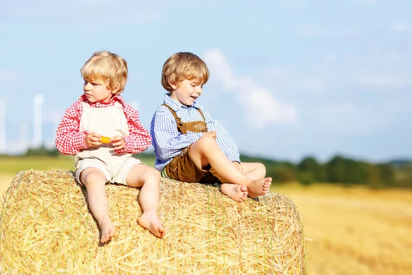 Due piccoli amici e amici seduti sul pagliaio — Foto Stock